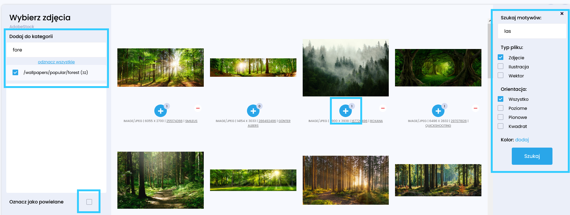 tworzenie bazy motyw&oacute;w w focode.pl