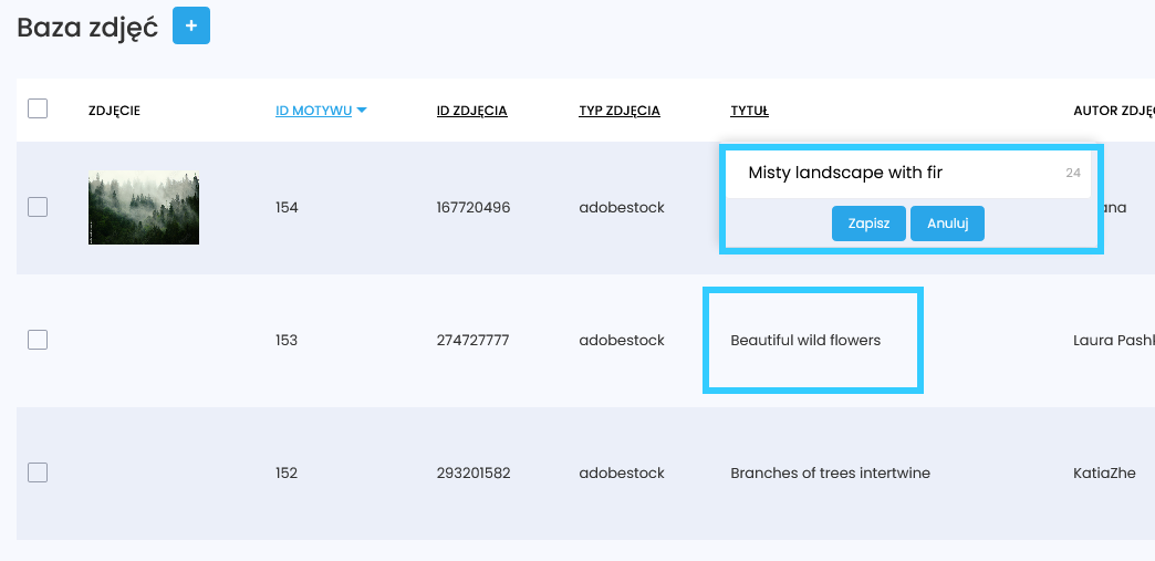 modyfikowanie tytuł&oacute;w motyw&oacute;w