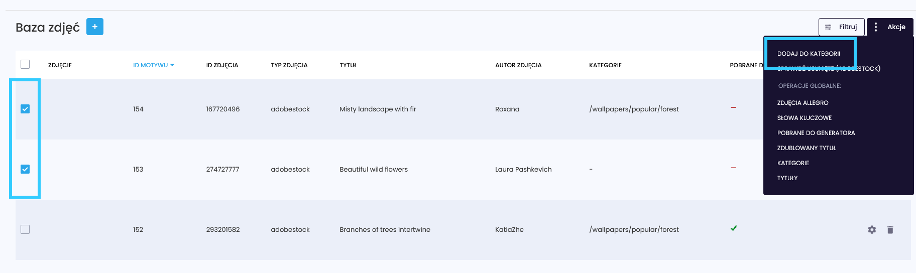 dodawanie motyw&oacute;w do kategorii