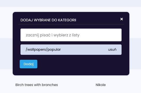 dodawanie motyw&oacute;w do kategorii tematycznych
